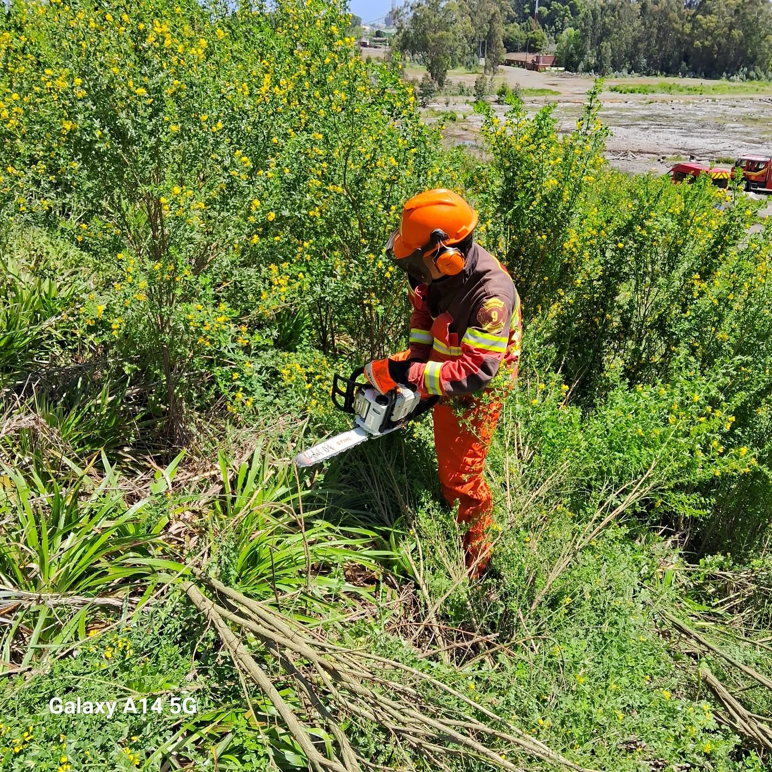 Operativo Bomberos 5